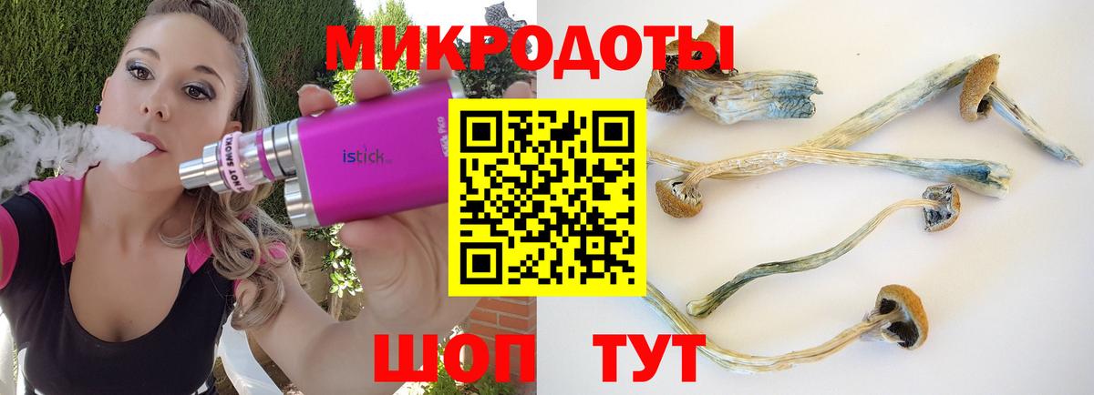 Галлюциногенные грибы Cubensis Белогорск